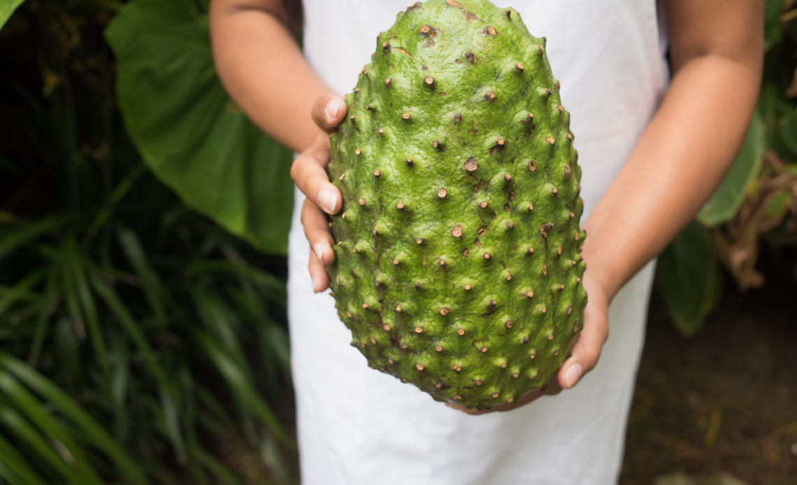 This Is How to Make Soursop Tea - restaurant-paradis